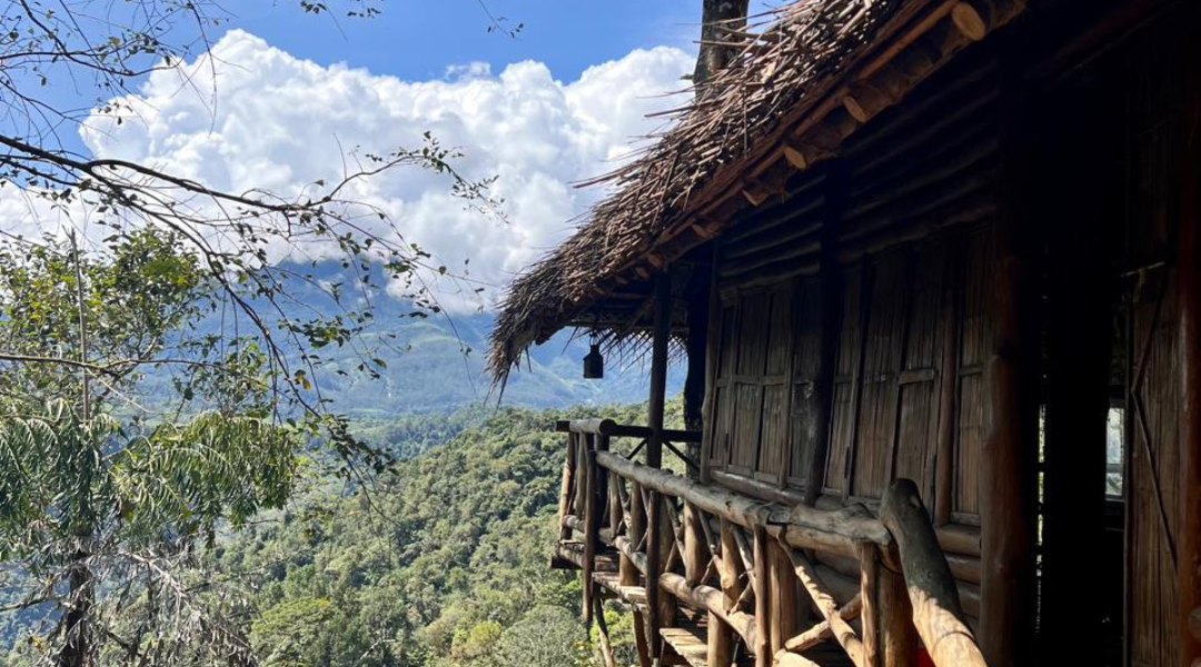 KERALA TOUR PACKAGE