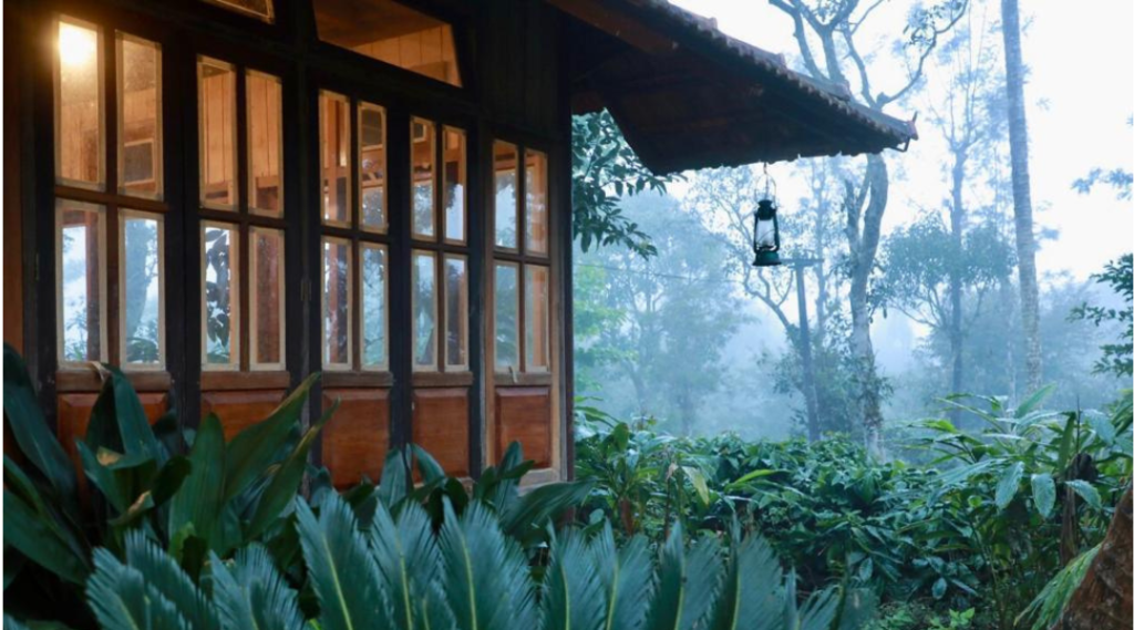 WAYANAD TOUR PACKAGE