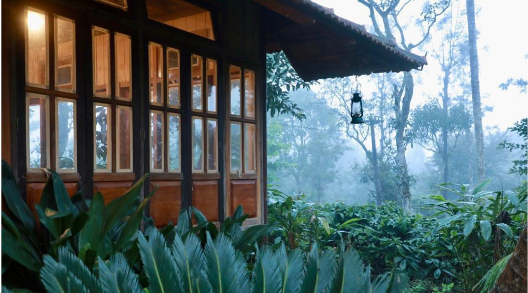 WAYANAD TOUR PACKAGE