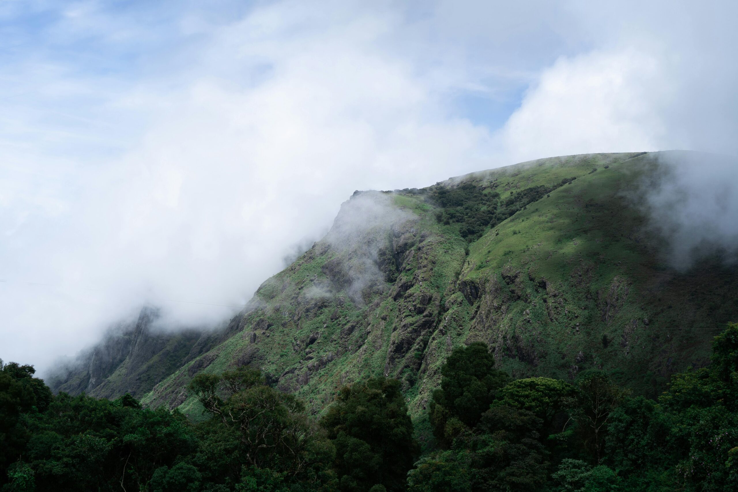 easy trip mysore- wayanad tour